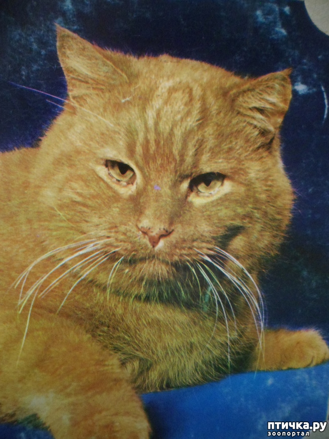 ���� 27: �� ��������� ������� �������...