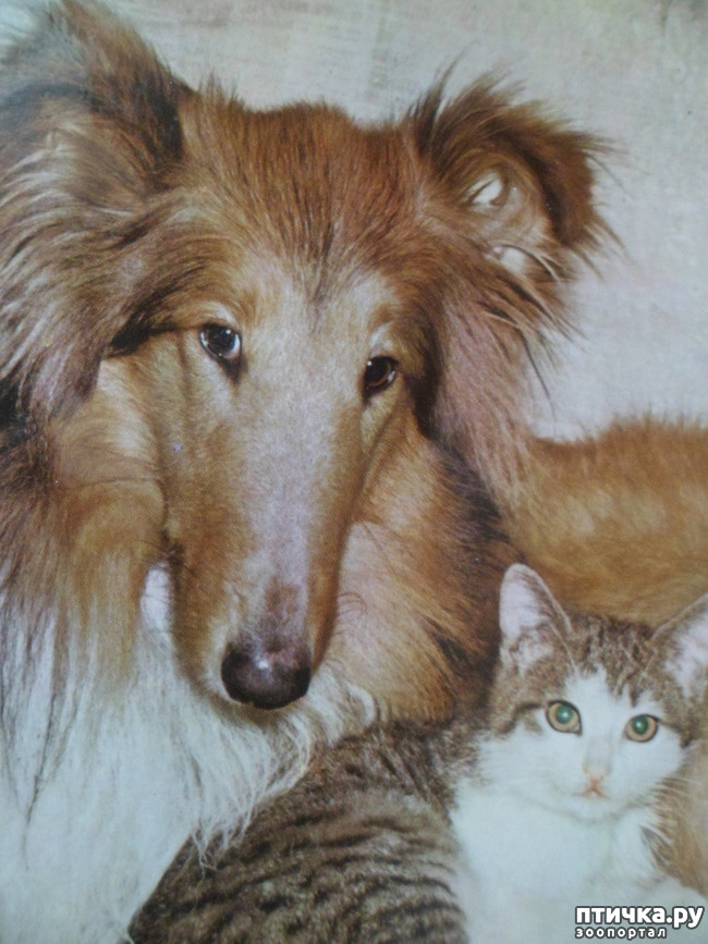 ���� 28: �� ��������� ������� �������...