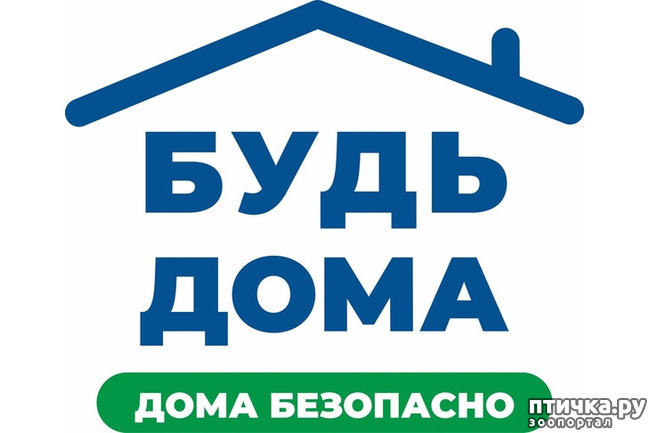 ���� 3: ������������