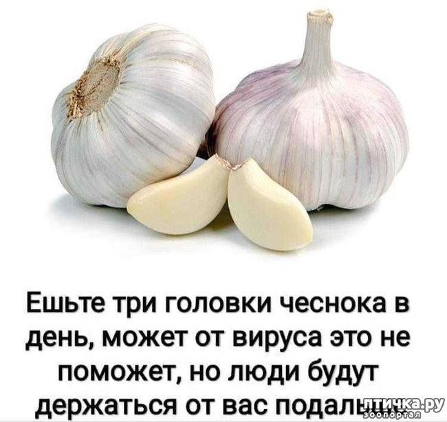 ���� 5: ������������