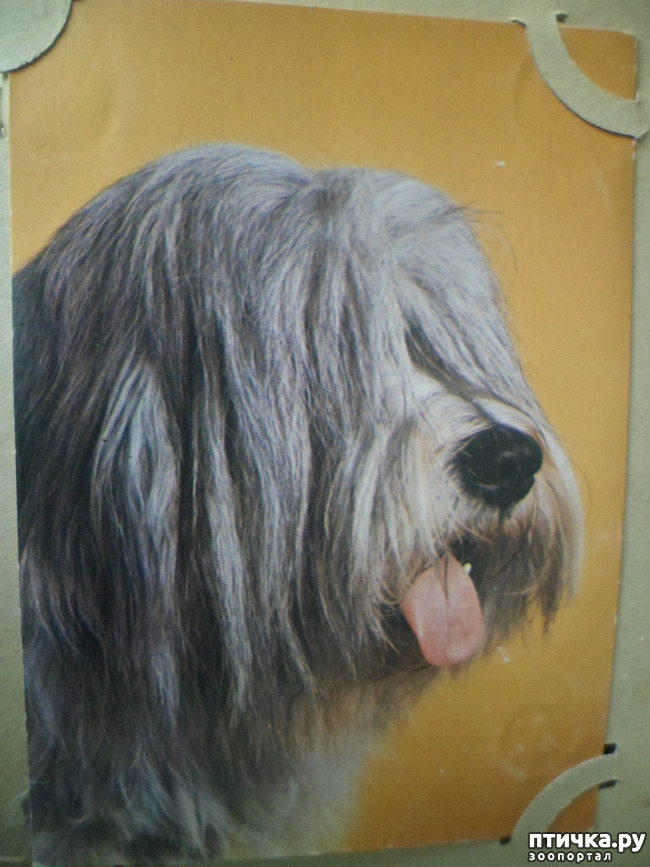 ���� 29: �� ��������� ������� �������...