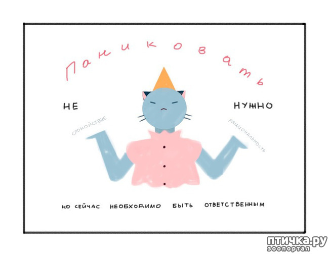 ���� 6: ������������