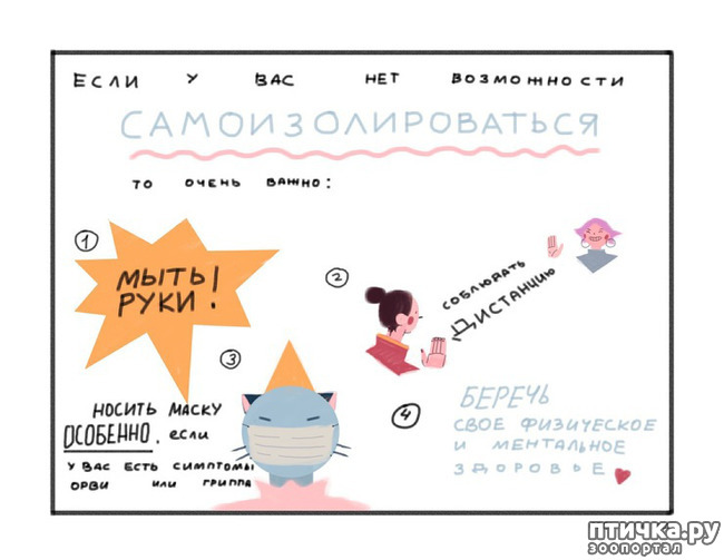 ���� 7: ������������