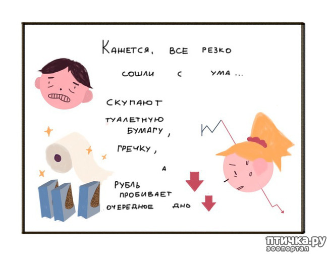 ���� 9: ������������