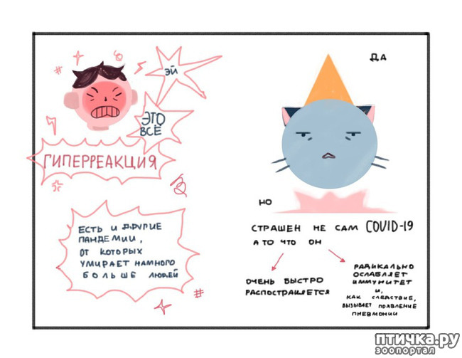 ���� 11: ������������