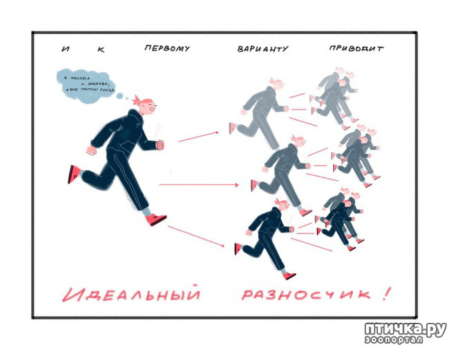 ���� 12: ������������