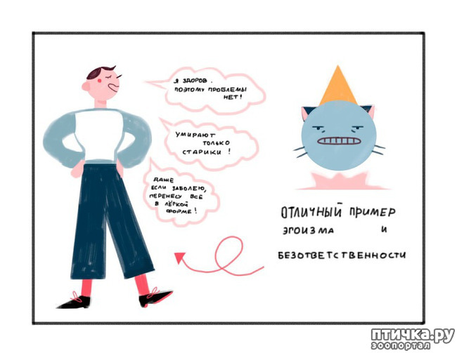 ���� 13: ������������