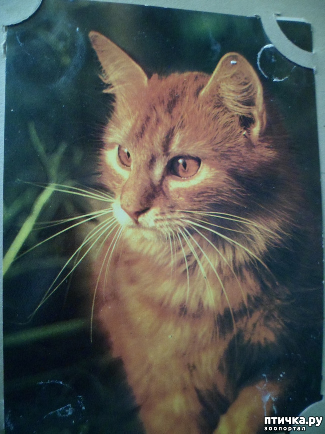 ���� 31: �� ��������� ������� �������...