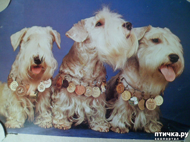 ���� 33: �� ��������� ������� �������...