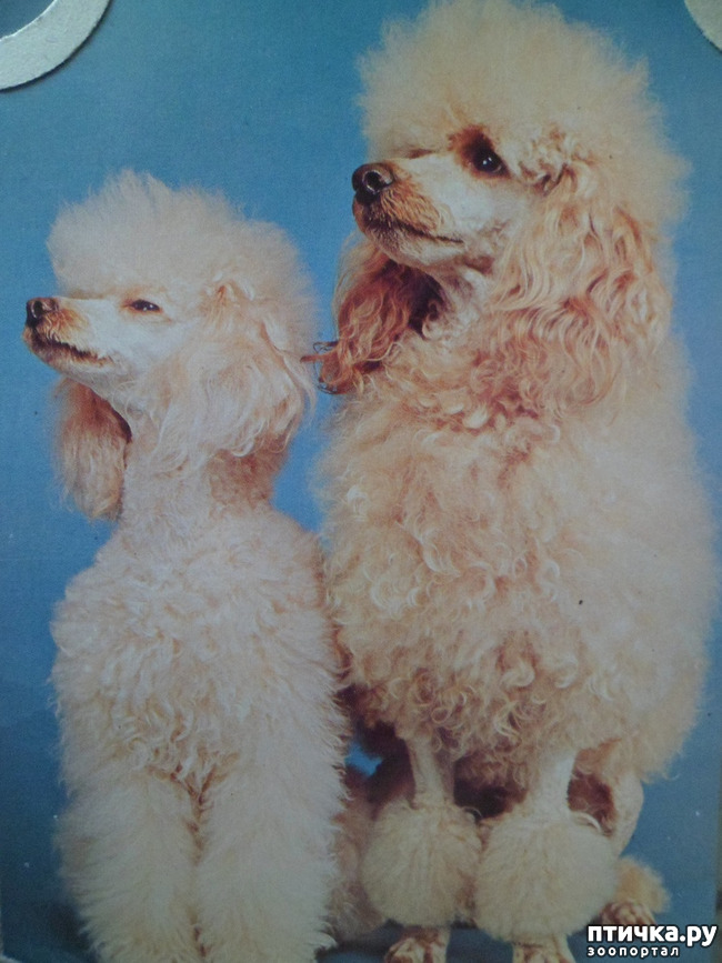 ���� 34: �� ��������� ������� �������...