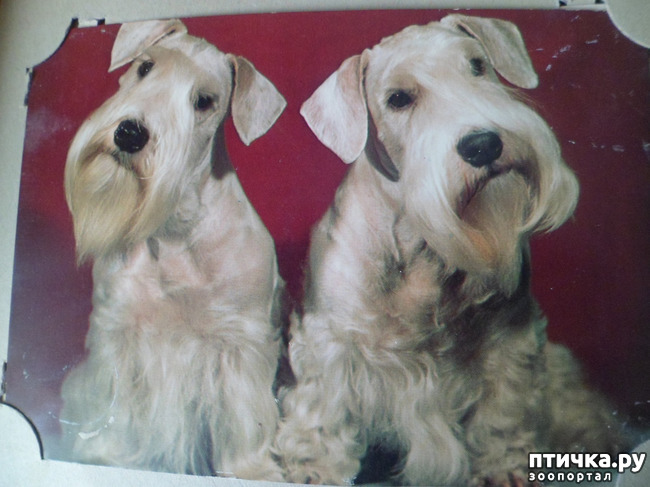 ���� 35: �� ��������� ������� �������...