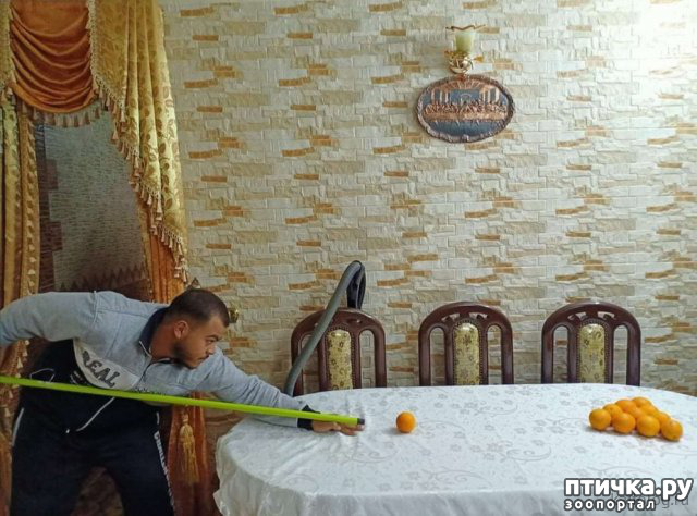 ���� 19: �� �� ����� � ����� �����������?