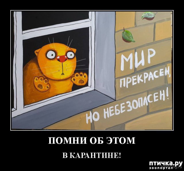 ���� 20: �� �� ����� � ����� �����������?