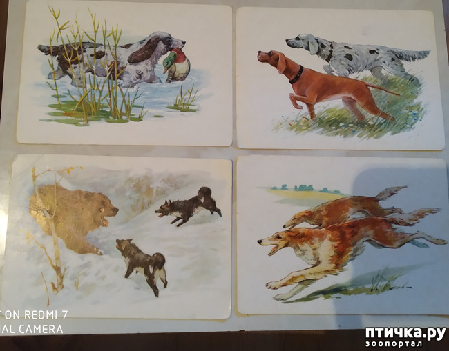 ���� 3: �������� �� ���������