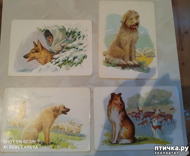 ���� 4: �������� �� ���������