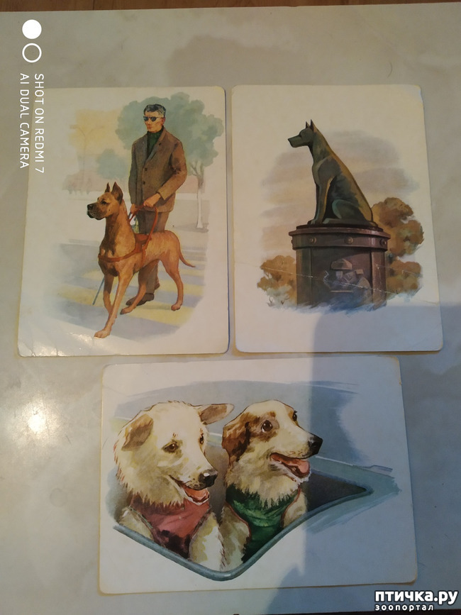 ���� 5: �������� �� ���������