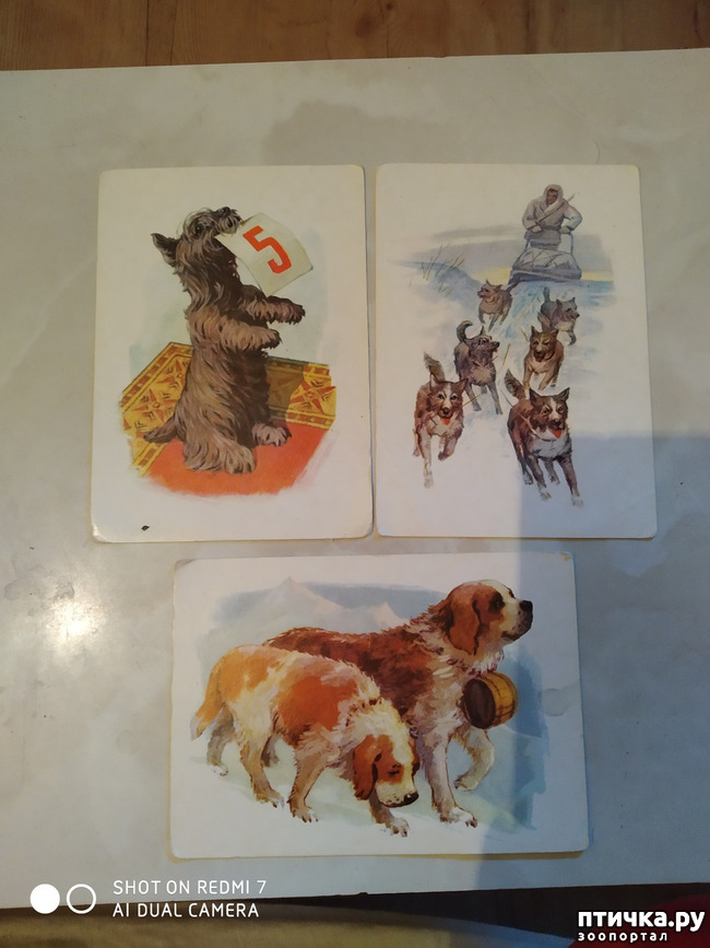 ���� 6: �������� �� ���������