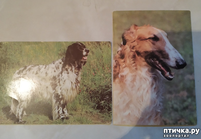 ���� 7: �������� �� ���������