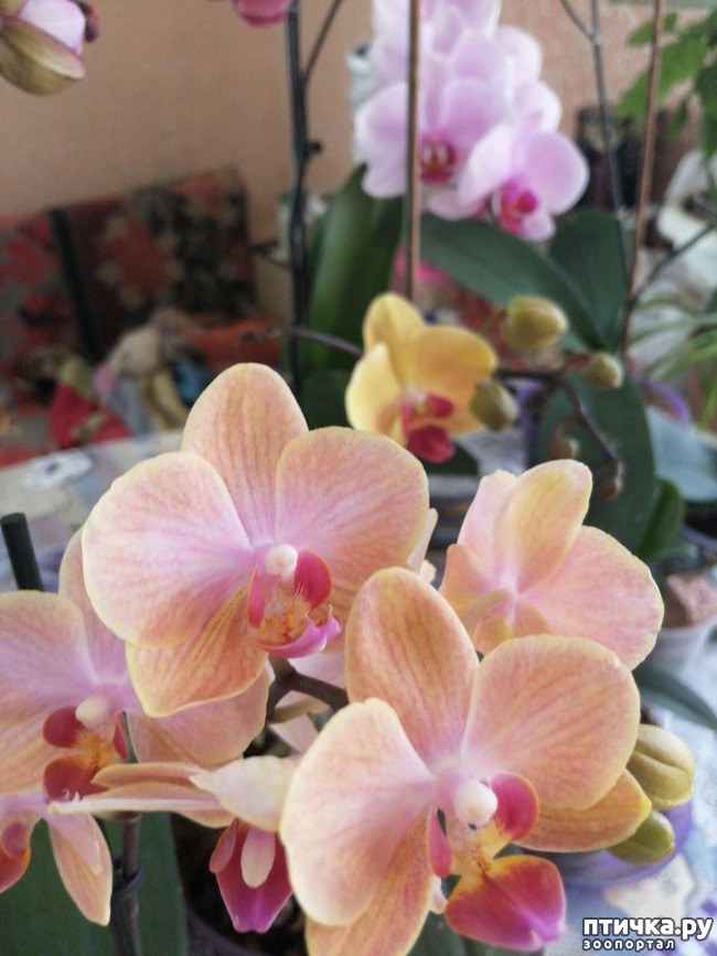 ���� 1: ���� ���������� ������ ���������.:)