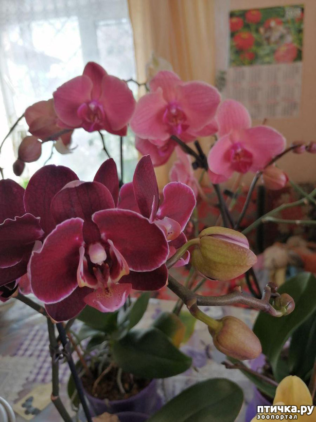 ���� 2: ���� ���������� ������ ���������.:)