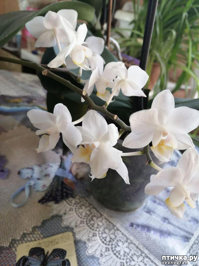 ���� 3: ���� ���������� ������ ���������.:)