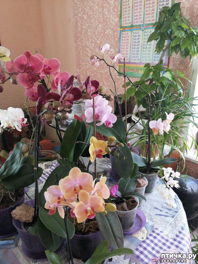 ���� 4: ���� ���������� ������ ���������.:)