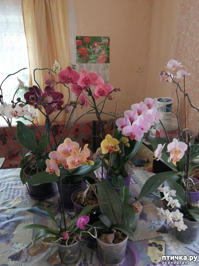 ���� 5: ���� ���������� ������ ���������.:)