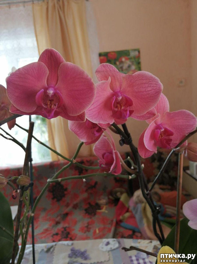 ���� 6: ���� ���������� ������ ���������.:)