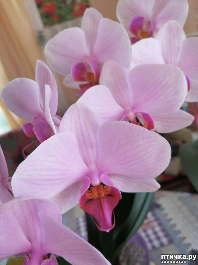 ���� 7: ���� ���������� ������ ���������.:)