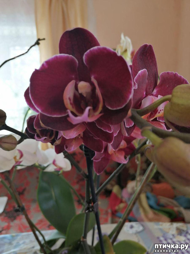 ���� 8: ���� ���������� ������ ���������.:)