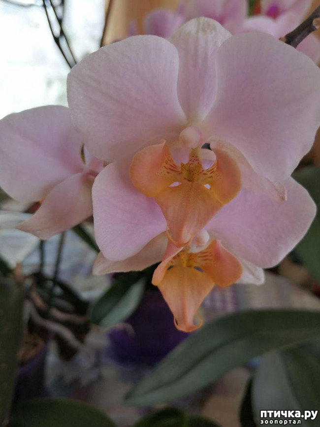 ���� 9: ���� ���������� ������ ���������.:)