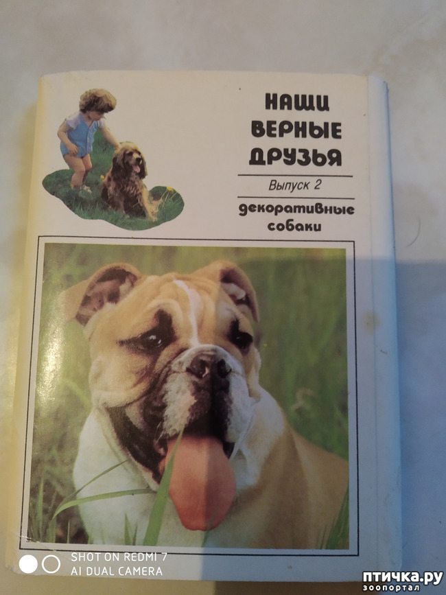 ���� 8: �������� �� ���������