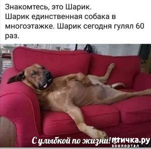 ����: � ������� �� �����