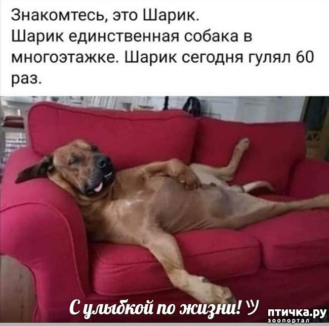 ���� 1: � ������� �� �����