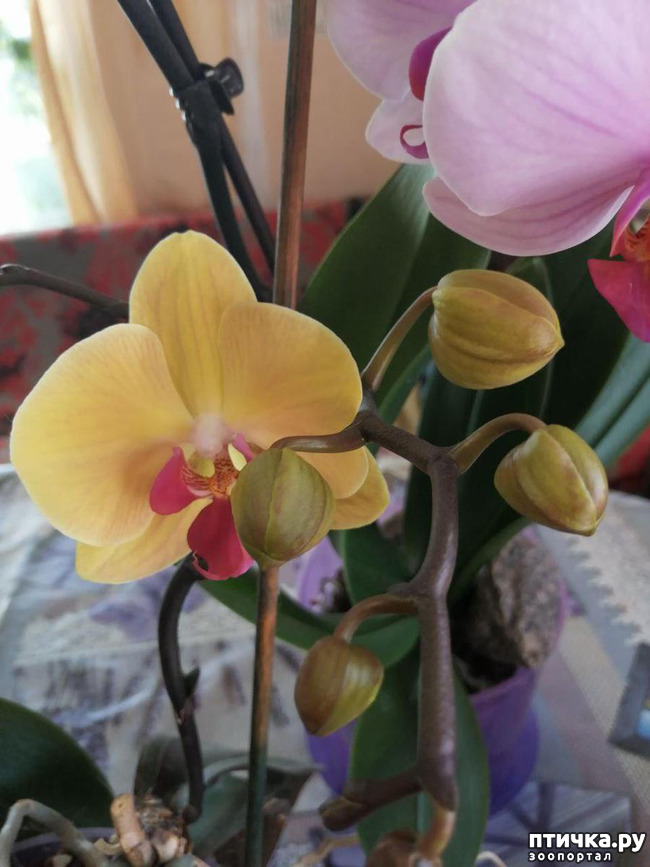 ���� 10: ���� ���������� ������ ���������.:)