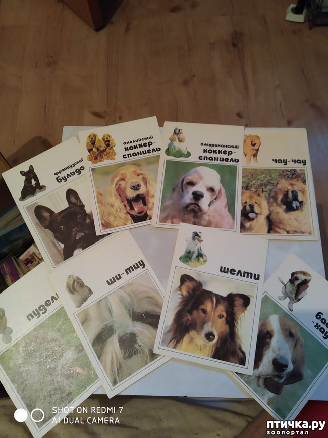 ���� 9: �������� �� ���������