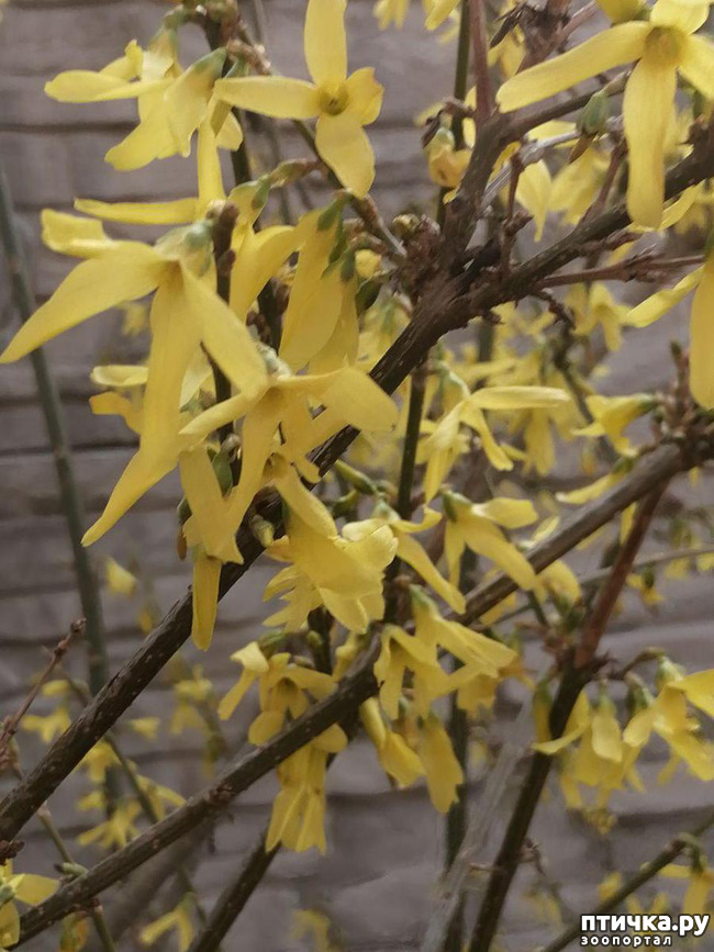 ���� 13: ���� ���������� ������ ���������.:)