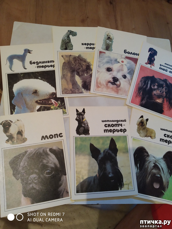 ���� 10: �������� �� ���������