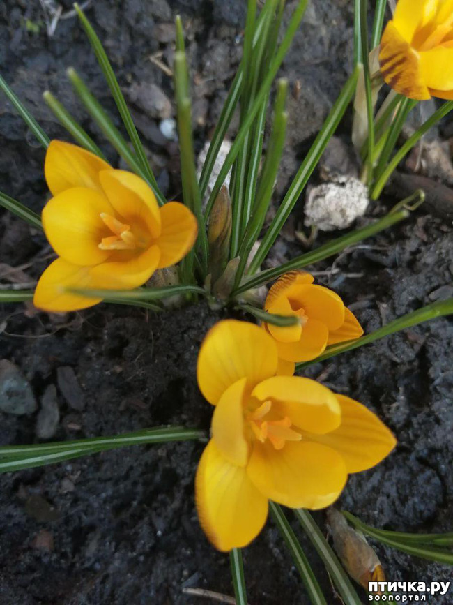 ���� 14: ���� ���������� ������ ���������.:)