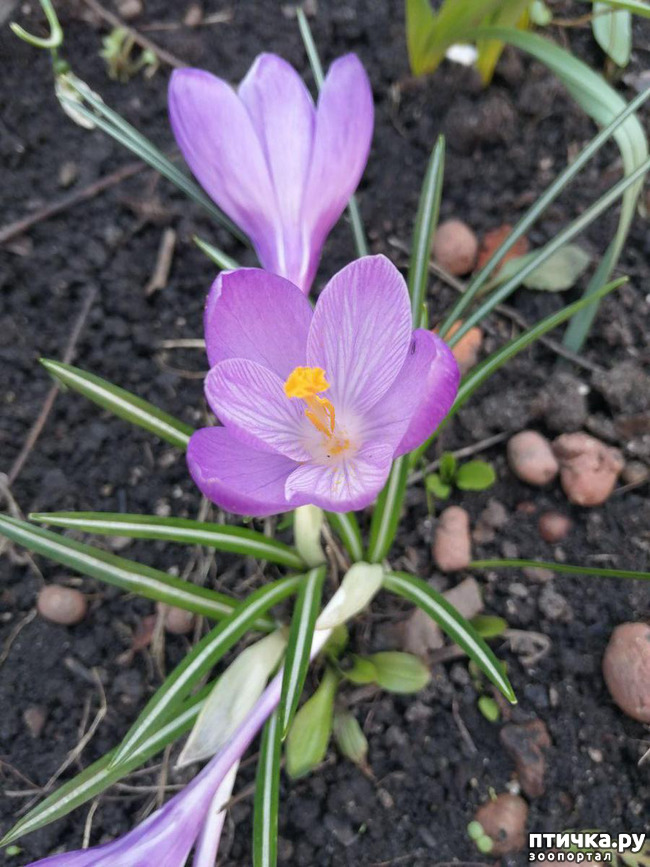 ���� 16: ���� ���������� ������ ���������.:)