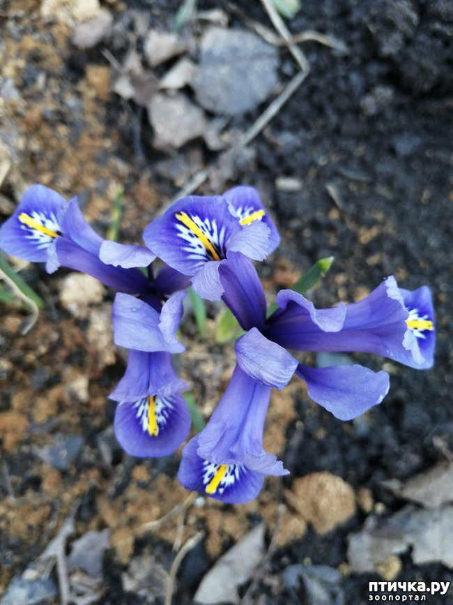 ���� 17: ���� ���������� ������ ���������.:)