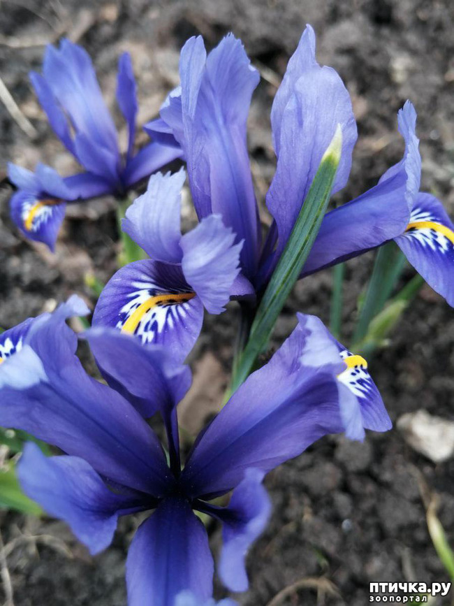 ���� 18: ���� ���������� ������ ���������.:)