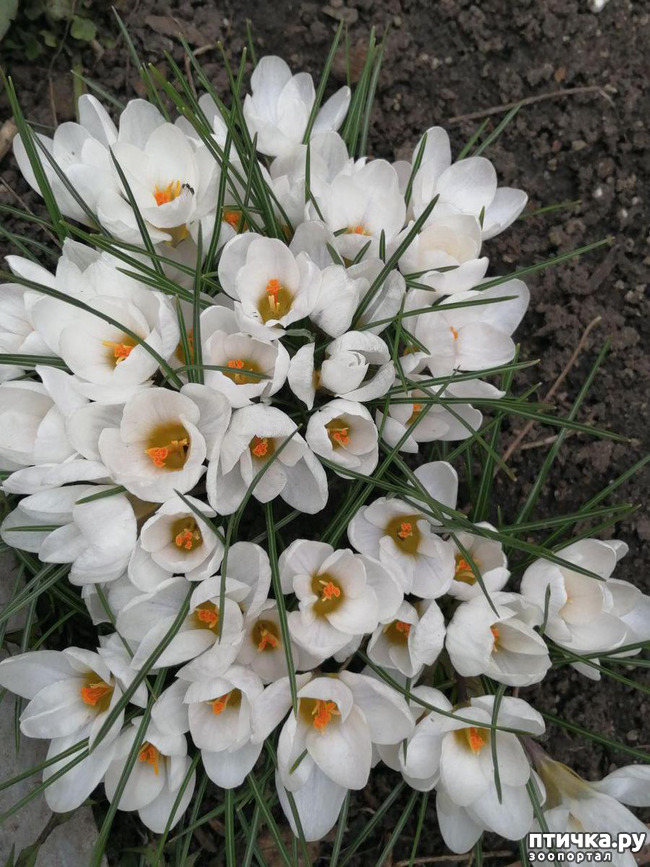 ���� 19: ���� ���������� ������ ���������.:)