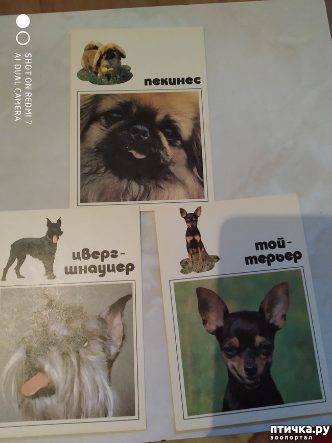 ���� 11: �������� �� ���������