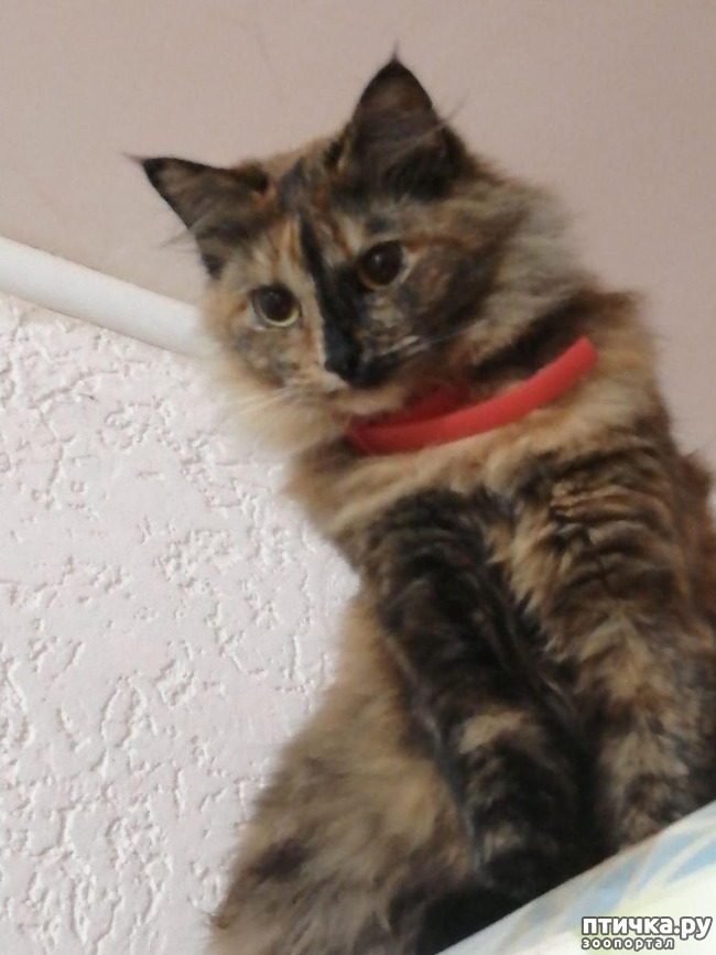 ���� 20: ���� ���������� ������ ���������.:)