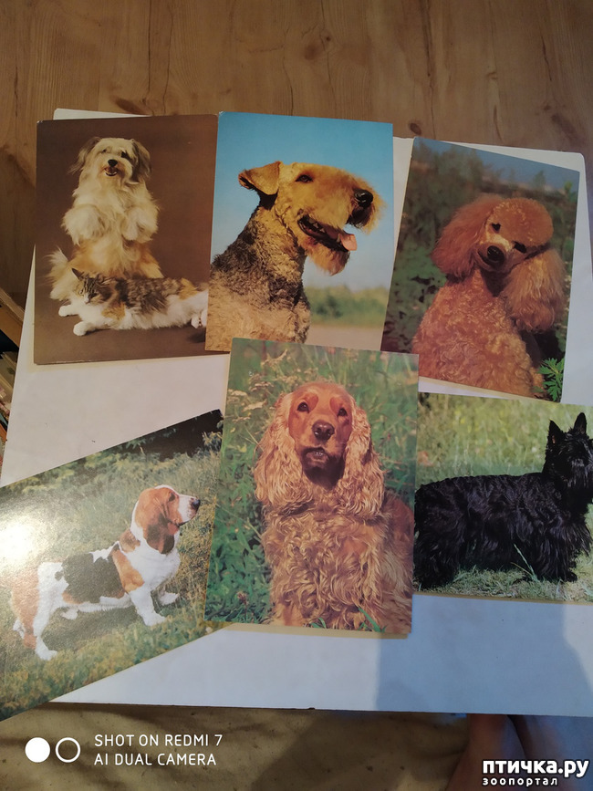 ���� 12: �������� �� ���������