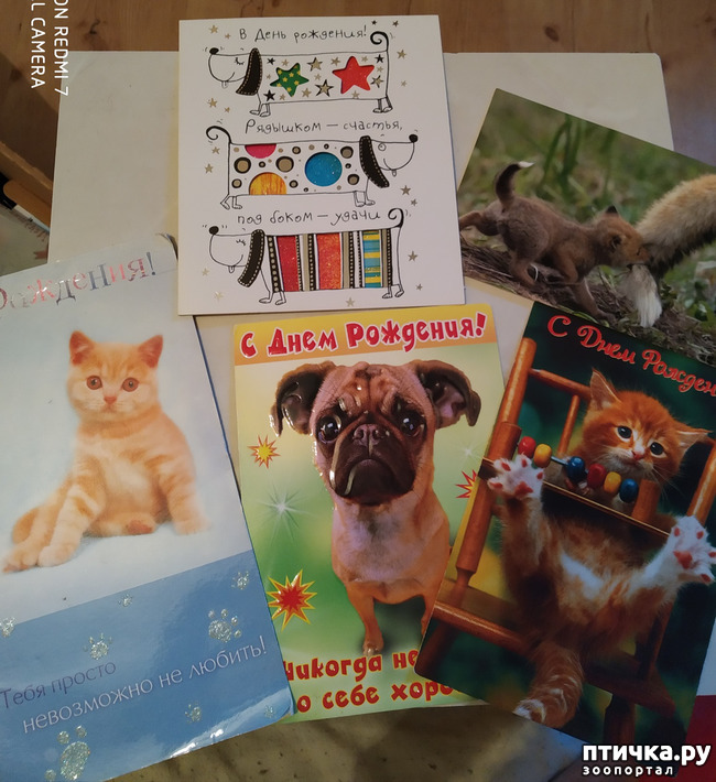 ���� 23: �������� �� ���������