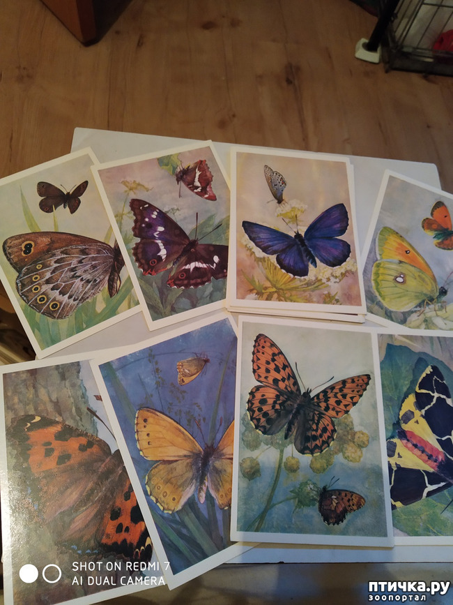 ���� 13: �������� �� ���������