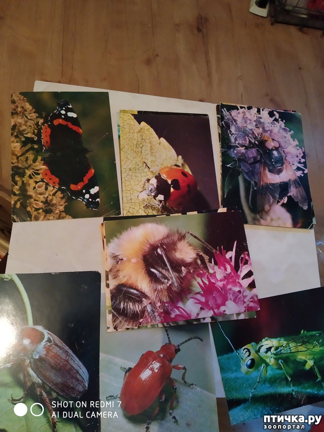 ���� 14: �������� �� ���������