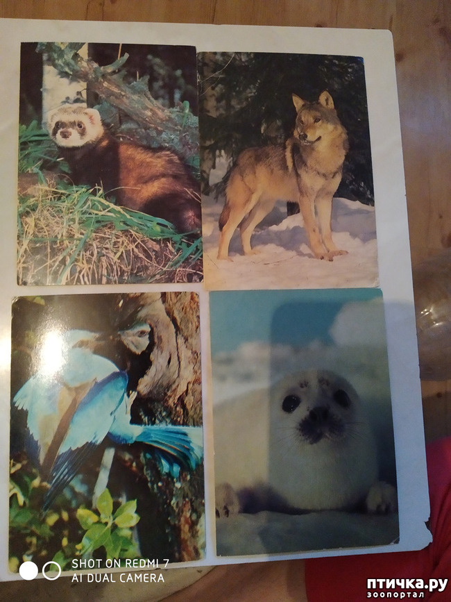 ���� 15: �������� �� ���������